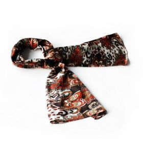 Blando Brown Distinctive Stylish Paisley Pattern Fashion Soft Natural Silky Scarf/Wrap/Shawl(Large)